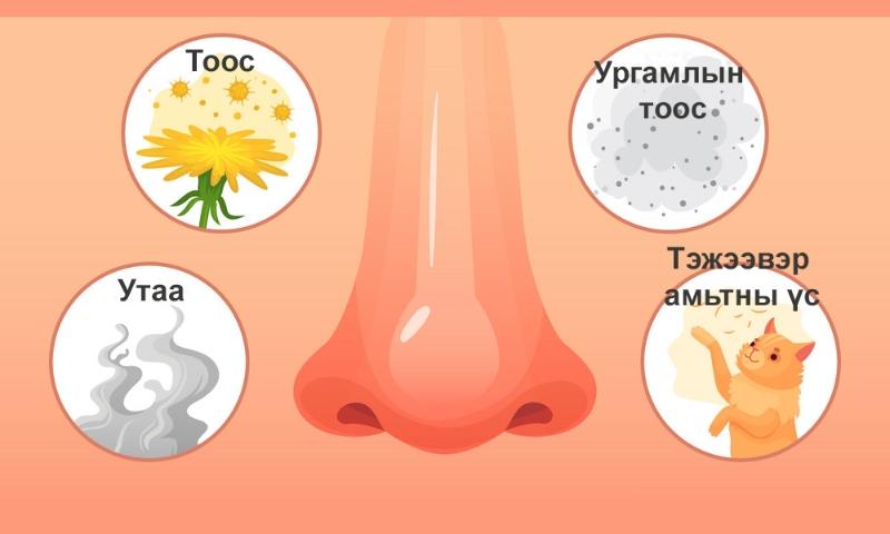 Завхан СХЗХ